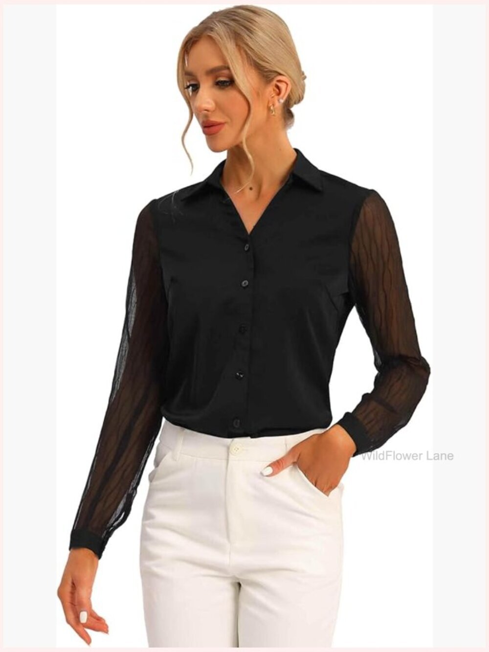 Point Collar V Neck Button Down Mesh Sleeve Work Blouse